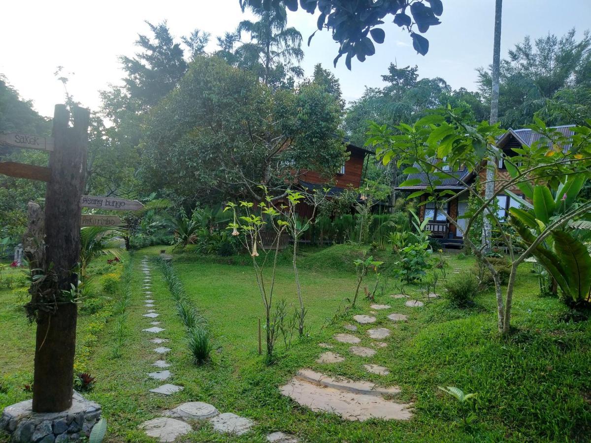 Canyon Jungle Stay 부키팅기 외부 사진