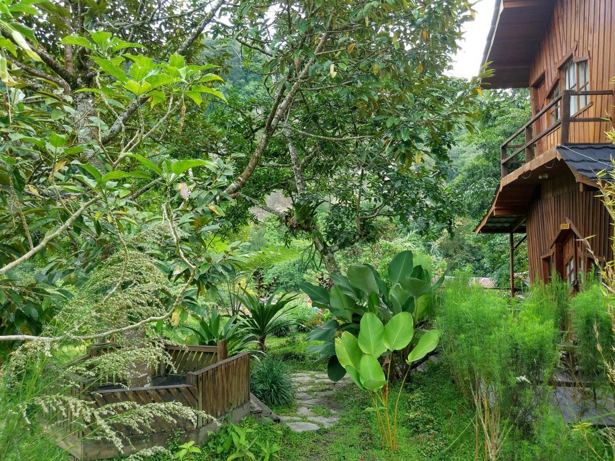 Canyon Jungle Stay 부키팅기 외부 사진