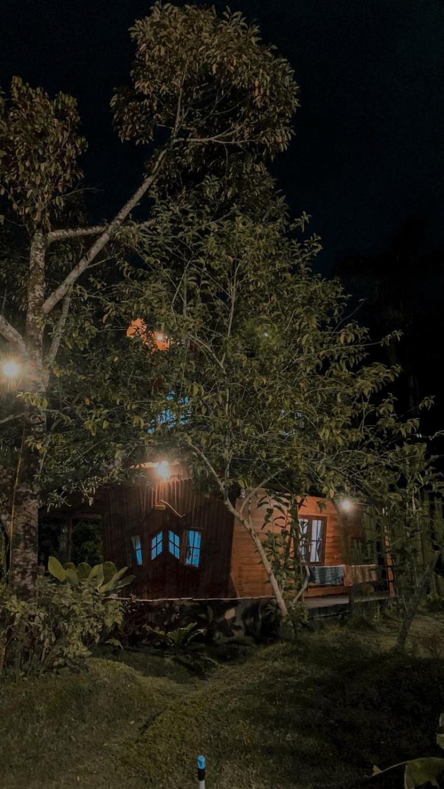 Canyon Jungle Stay 부키팅기 객실 사진