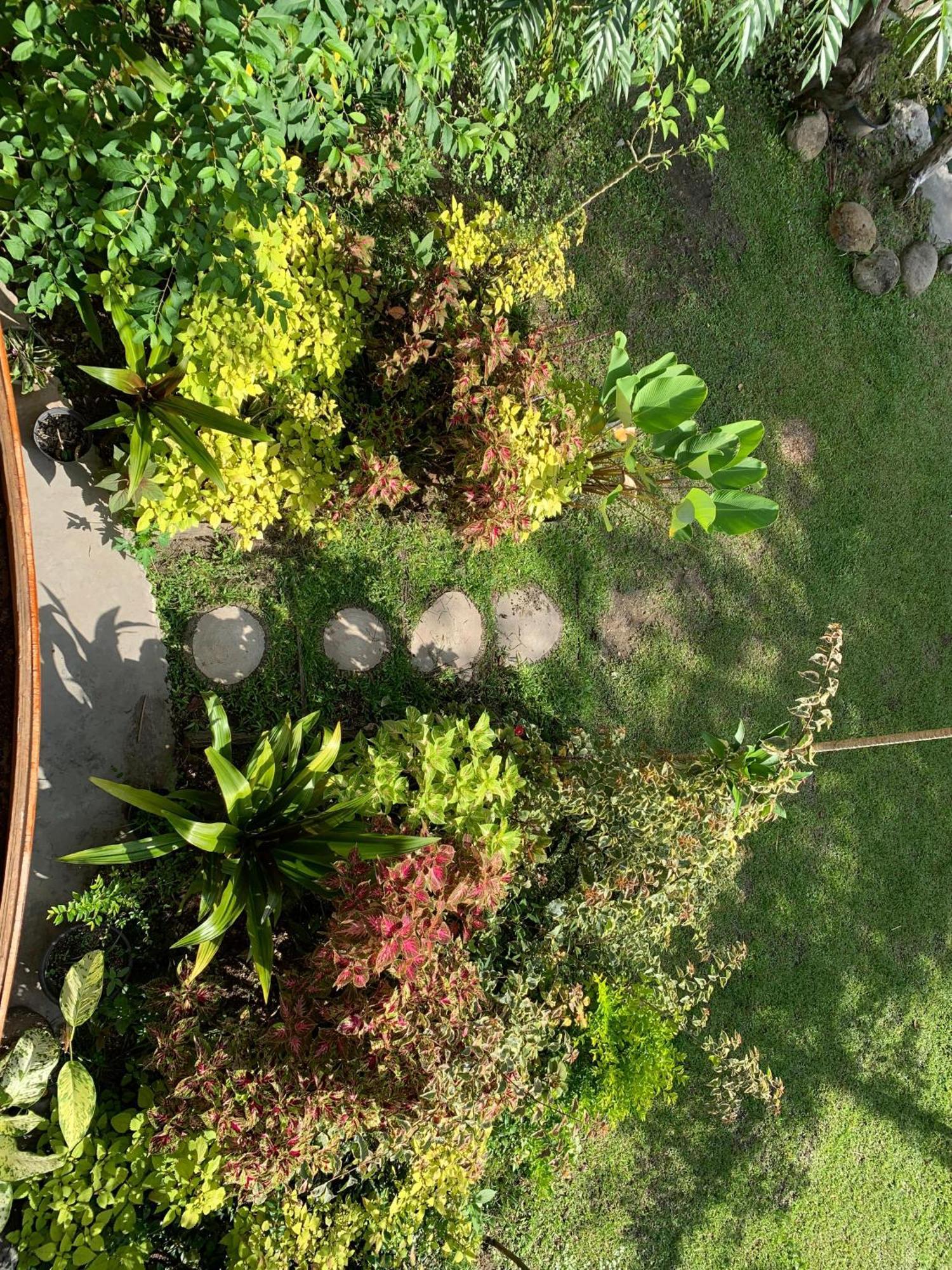 Canyon Jungle Stay 부키팅기 외부 사진